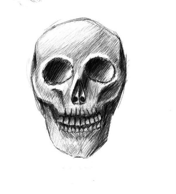 Skull